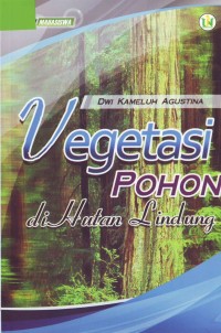 Image of Vegetasi Pohon di Hutan Lindung